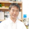 「ネコの宿命」腎臓病の治療法を開発　寿命が２倍、最長３０年にも　東大大学院・宮崎